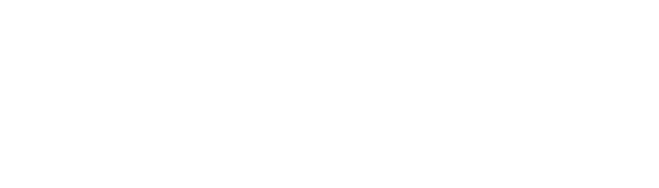 ConexSul